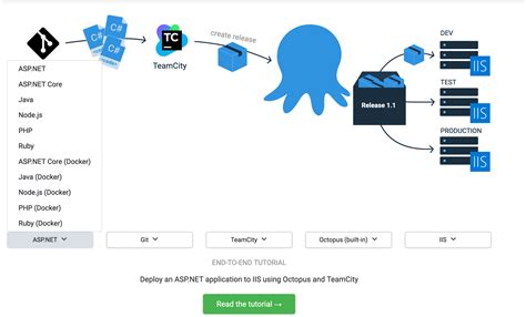octopus deploy|octopus software deployment.